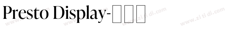 Presto Display字体转换 Presto Display字体转换